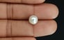 South Sea Pearl - 4.83 Carat Prime Quality SSP-8730