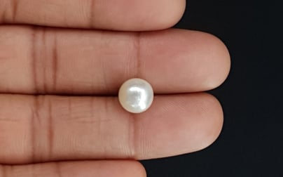 South Sea Pearl - 4.94 Carat Prime Quality SSP-8698
