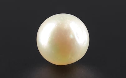 South Sea Pearl - 4.94 Carat Prime Quality SSP-8698