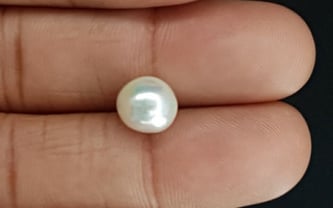 South Sea Pearl - 5.01 Carat Prime Quality SSP-8734 