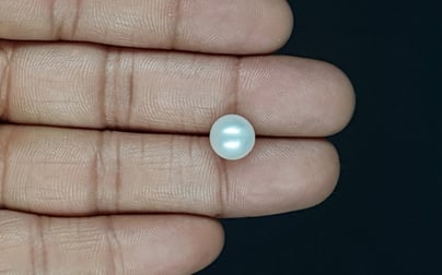 South Sea Pearl - 5.12 Carat Prime Quality SSP-8832