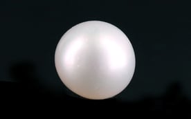 South Sea Pearl - 5.12 Carat Prime Quality SSP-8832