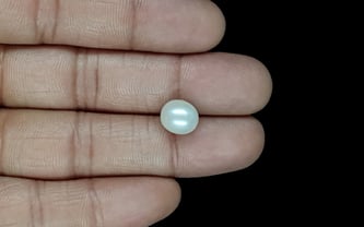 South Sea Pearl - 5.13 Carat Prime Quality SSP-8836