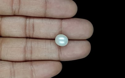 South Sea Pearl - 5.13 Carat Prime Quality SSP-8836