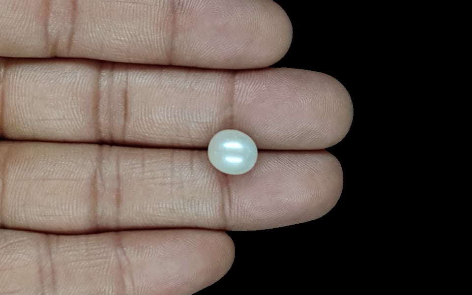 South Sea Pearl - 5.13 Carat Prime Quality SSP-8836