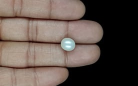 South Sea Pearl - 5.13 Carat Prime Quality SSP-8836
