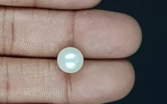 South Sea Pearl - 5.16 Carat Prime Quality SSP-8867