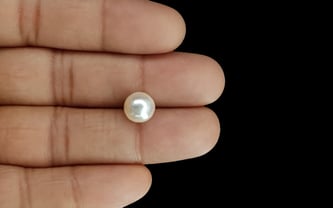 South Sea Pearl - 5.22 Carat Prime Quality SSP-8721