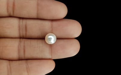 South Sea Pearl - 5.22 Carat Prime Quality SSP-8721