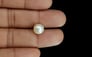 South Sea Pearl - 5.25 Carat Prime Quality SSP-8670