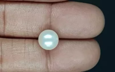 South Sea Pearl - 5.25 Carat Prime Quality SSP-8878