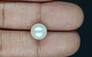 South Sea Pearl - 5.25 Carat Prime Quality SSP-8878