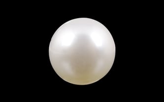 South Sea Pearl - 5.28 Carat Prime Quality SSP-8564