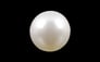 South Sea Pearl - 5.28 Carat Prime Quality SSP-8564