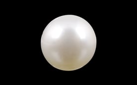 South Sea Pearl - 5.28 Carat Prime Quality SSP-8564