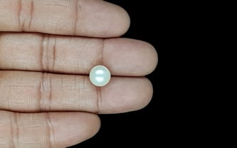 South Sea Pearl - 5.31 Carat Prime Quality SSP-8852