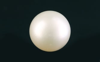 Buy Natural White Pearl Gemstone Online at Best Price
