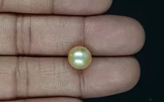 South Sea Pearl - 5.39 Carat Prime Quality SSP-8837