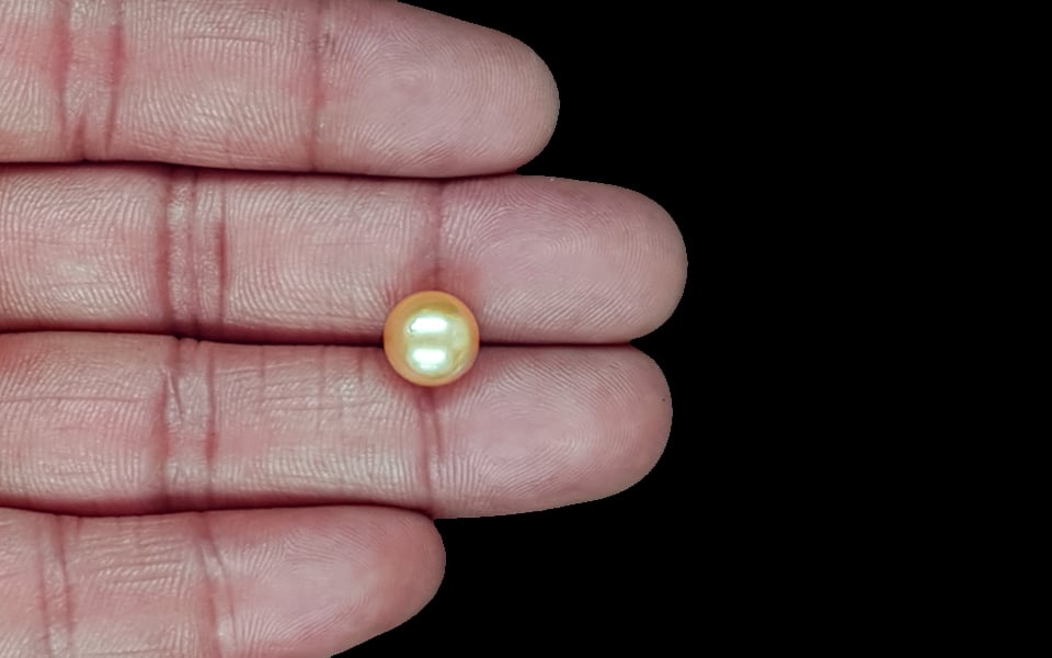 South Sea Pearl - 5.41 Carat Prime Quality SSP-8892
