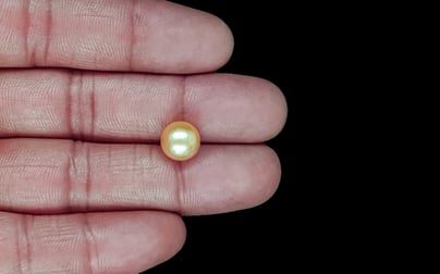 South Sea Pearl - 5.41 Carat Prime Quality SSP-8892