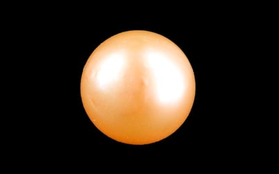 South Sea Pearl - 5.41 Carat Prime Quality SSP-8892