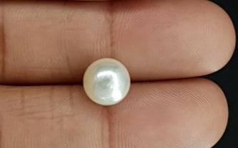 South Sea Pearl - 5.42 Carat Prime Quality SSP-8735