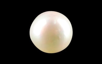 South Sea Pearl - 5.42 Carat Prime Quality SSP-8735