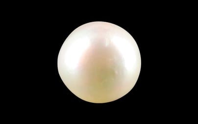 South Sea Pearl - 5.42 Carat Prime Quality SSP-8735