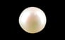 South Sea Pearl - 5.42 Carat Prime Quality SSP-8735