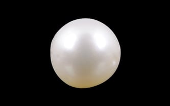 South Sea Pearl - 5.43 Carat Prime Quality SSP-8566