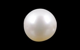 South Sea Pearl - 5.43 Carat Prime Quality SSP-8566