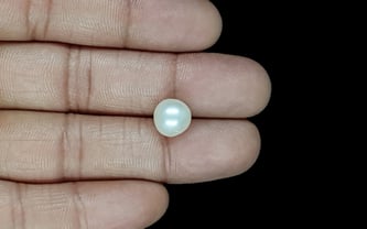South Sea Pearl - 5.46 Carat Prime Quality SSP-8835