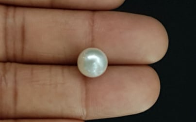 South Sea Pearl - 5.52 Carat Prime Quality SSP-8675