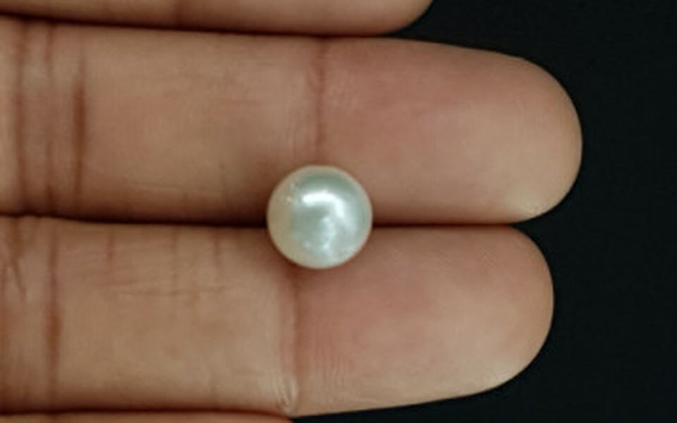 South Sea Pearl - 5.52 Carat Prime Quality SSP-8675