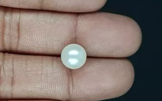 South Sea Pearl - 5.53 Carat Prime Quality SSP-8856