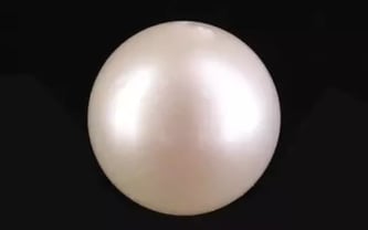 South Sea Pearl - 5.53 Carat Prime Quality SSP-8856