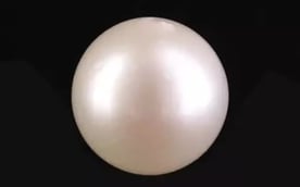South Sea Pearl - 5.53 Carat Prime Quality SSP-8856