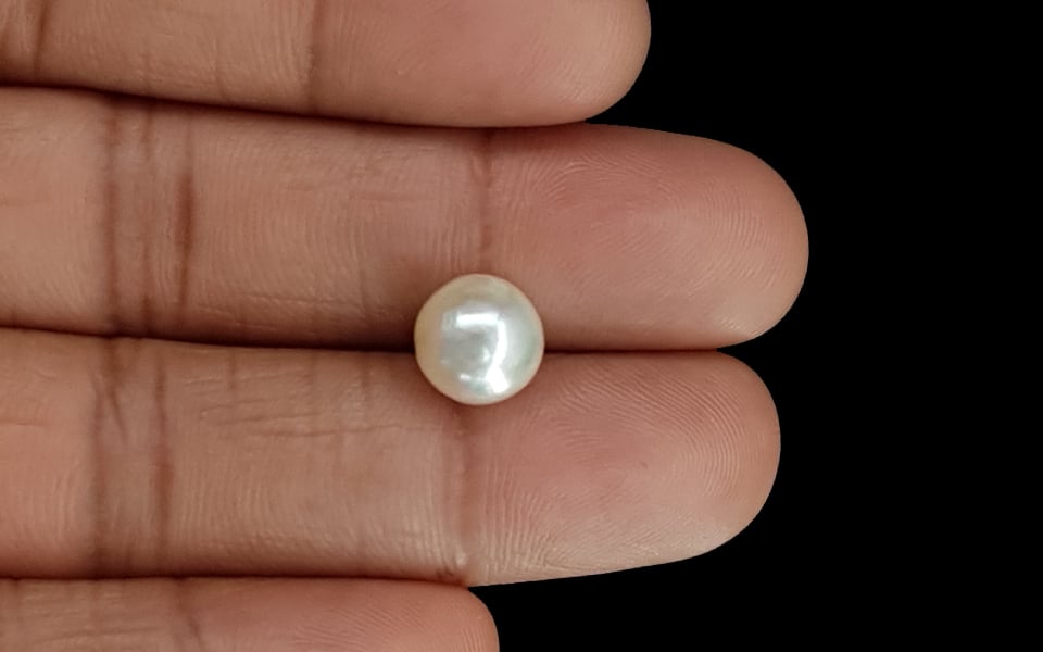 South Sea Pearl - 5.54 Carat Prime Quality SSP-8691
