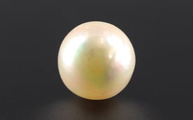 South Sea Pearl - 5.54 Carat Prime Quality SSP-8691