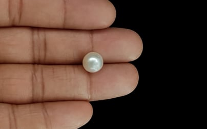 South Sea Pearl - 5.55 Carat Prime Quality SSP-8660