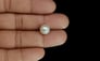 South Sea Pearl - 5.55 Carat Prime Quality SSP-8660