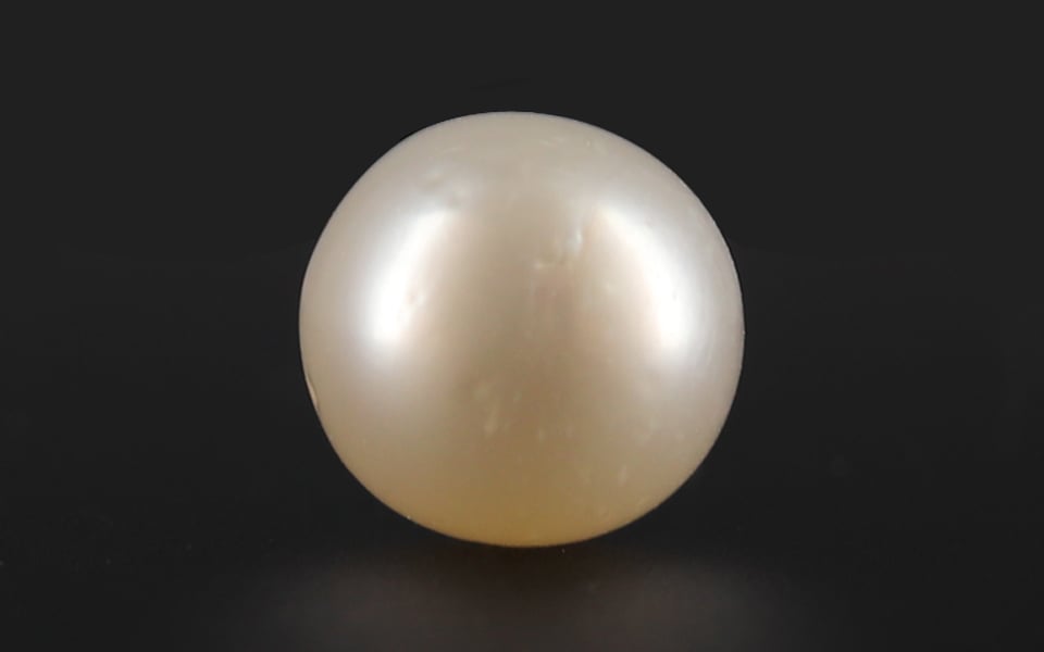 South Sea Pearl - 5.55 Carat Prime Quality SSP-8660