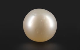 South Sea Pearl - 5.55 Carat Prime Quality SSP-8660