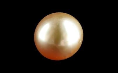 South Sea Pearl - 5.64 Carat Limited Quality SSP-9097