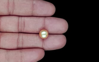 South Sea Pearl - 5.64 Carat Prime Quality SSP-8895