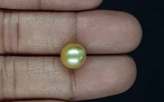 South Sea Pearl - 5.81 Carat Prime Quality SSP-8820