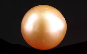 South Sea Pearl - 5.81 Carat Prime Quality SSP-8820