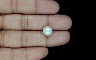 South Sea Pearl - 5.85 Carat Prime Quality SSP-8834
