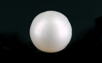 5.85 Carat White Moti Price in India | Natural White Pearl Stone Price
