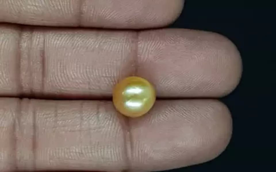 South Sea Pearl - 5.86 Carat Prime Quality SSP-8824